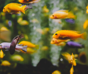 bus trip fort pierce florida aquarium