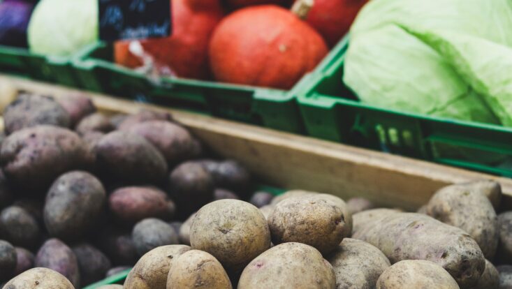 farm market fort pierce bus trip