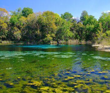 ocala national forest bus trip