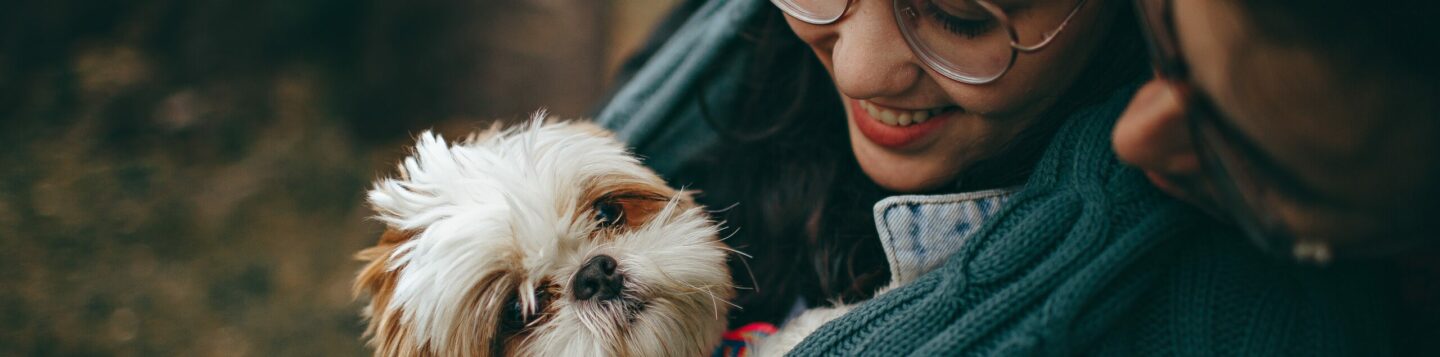 viajar con mascota